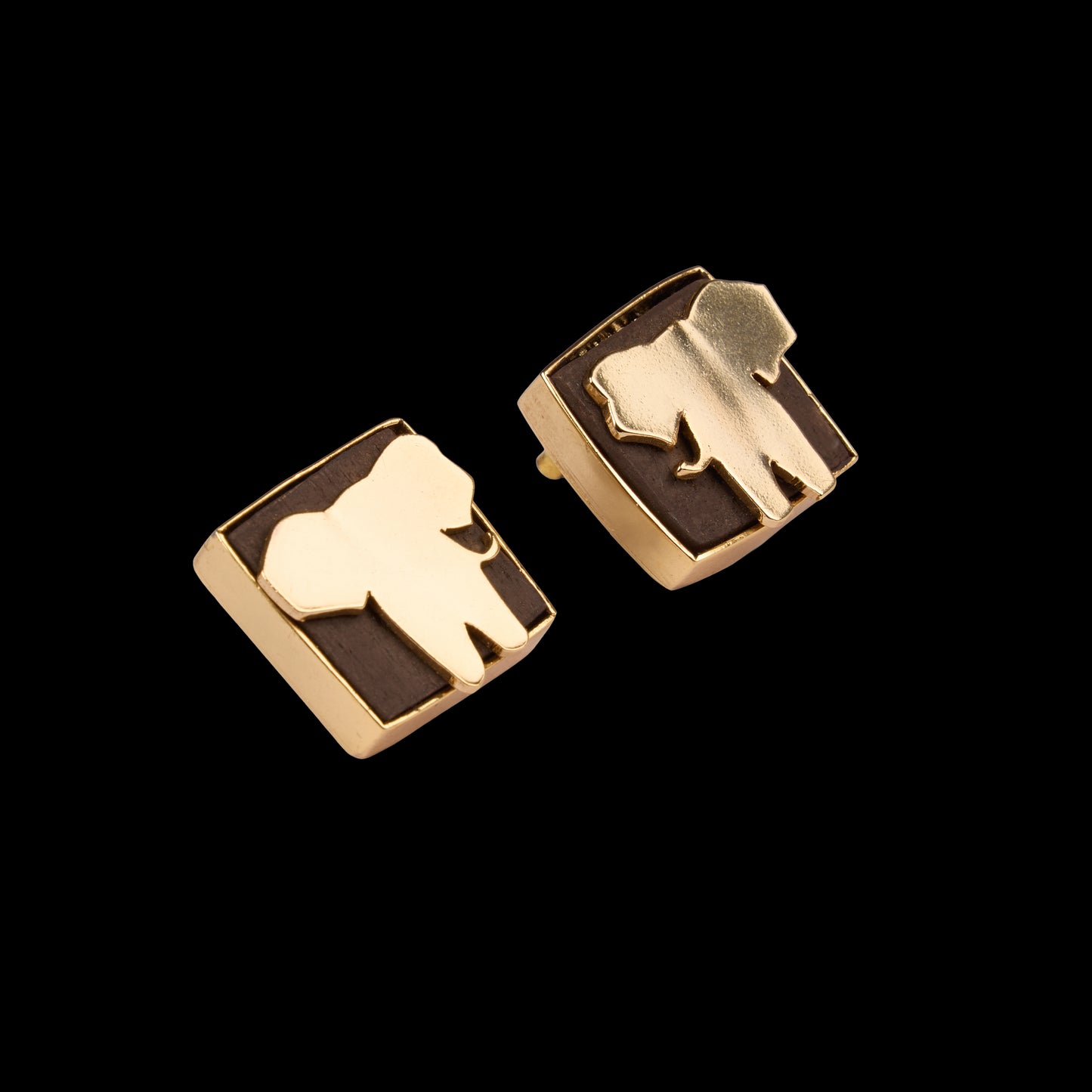 The masai mara combo