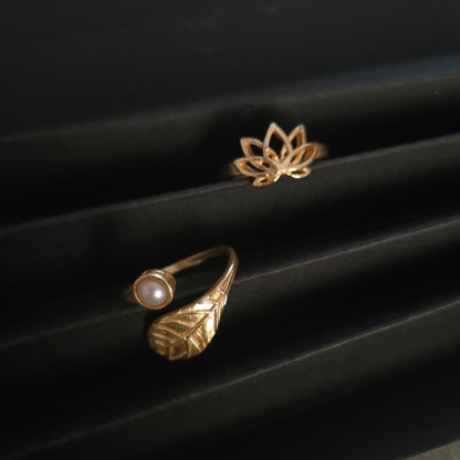 Adjustable Ring Combo 1